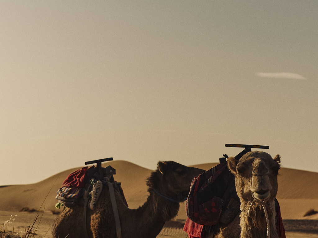 Spain and Morocco by Private Jet